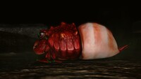 Hermit Crawmad P3 side.jpg