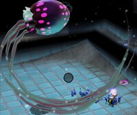 Greater Spotted Jellyfloat dying.jpg