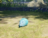 Snowy Blowhog corpse.jpg