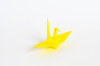 Yellow Crane Origami (real life).png