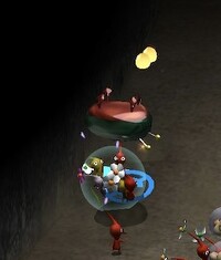 P2 Iridescent Flint Beetle flipped.jpg