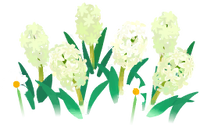 White hyacinth flowers icon.png