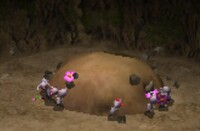 Child of the Earth.jpg