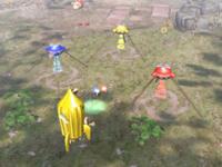 02 Site Awakening Wood.png