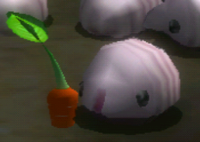 P2 Female Sheargrub Piklopedia.png