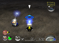 P2 King of Bugs Location.png