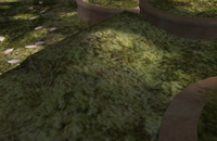 Piklopedia raised edge.png