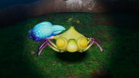 Aristocrab Offspring closeup.png