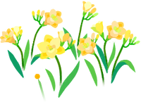 Yellow freesia flowers icon.png
