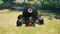 Horned-cannon-beetle-piklopedia.png