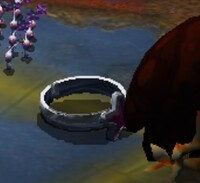 P2 Gemstar Wife Location.jpg