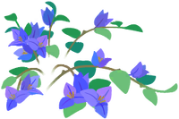 Blue bougainvillea flowers icon.png