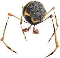 P2 Artwork Volatile Dweevil.png