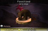 Fossilized Ursidae 2.jpg