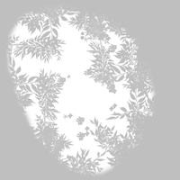 Impact Site Shadow.png