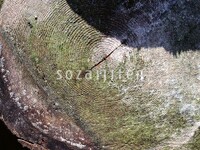 Sozaijiten16 166.jpg