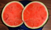 Watermelon seedless (real world).jpg
