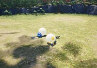 Downy Snagret corpse.jpg