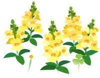 Yellow snapdragon flowers icon.png