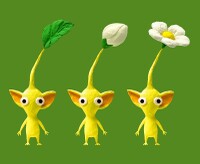 Normal yellowpikmins.jpg