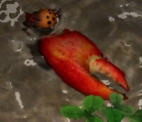 Mysterious Remains EU.jpg