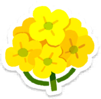 PB Lifelog Canola Flower Yellow.png