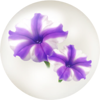Blue petunia nectar icon.png
