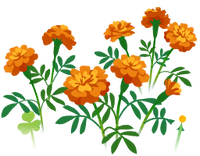 Red marigold flowers icon.png