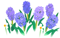 Blue hyacinth flowers icon.png