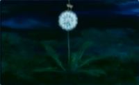 Dandelion.png