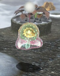 Medusal Slurker with Golden Sunseed.jpg