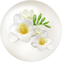 White freesia nectar icon.png