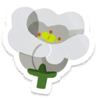 PB Lifelog Prairie Gentian White.png
