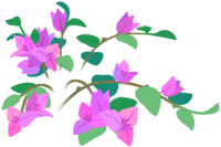 Red bougainvillea flowers icon.png