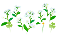 White forget-me-not flowers icon.png