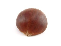 Chestnut-01.jpg