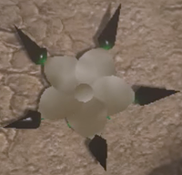 NamaPongashi open.png