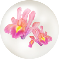 Red iris nectar icon.png