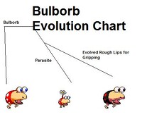 Bulborb Evolution Chart.jpg