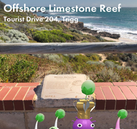 Postcard - Peek-a-boo.png