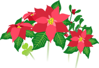 Red poinsettia flowers icon.png