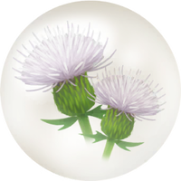 White thistle nectar icon.png