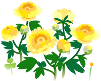 Yellow peony flowers icon.png