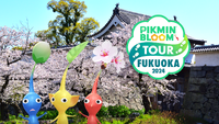 PB Tour Fukuoka Promotional Image.png