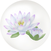 White water lily nectar icon.png