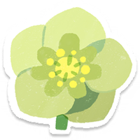 PB Lifelog Helleborus Yellow.png