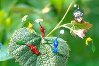 See!!there real!!!.jpg