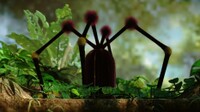 ShaggyLongLegs-Pikmin3.jpg