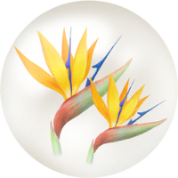 Yellow strelitzia nectar icon.png