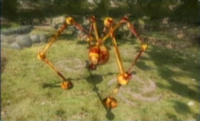 72beadylonglegs.png